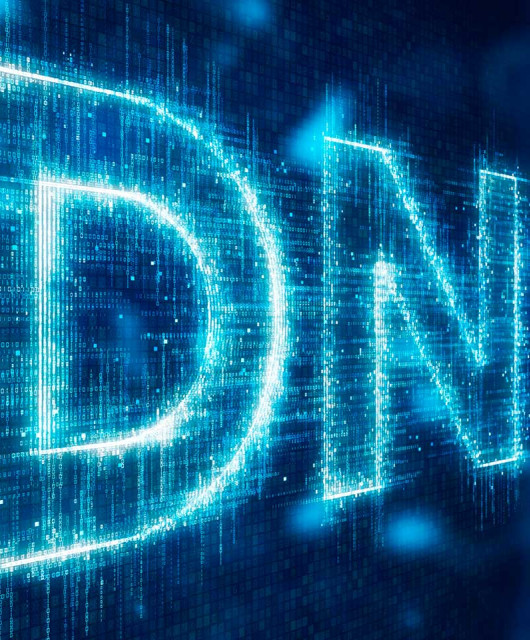 Карлос Арнал: «Экономические последствия DNS-атаки слишком велики, чтобы игнорировать уязвимости, обеспечивающие ее выполнение»