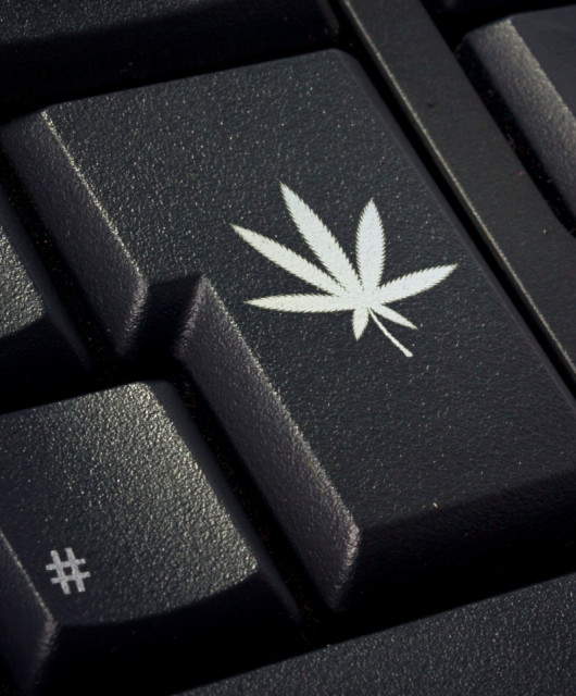 Раскрыты данные десятков тысяч легальных покупателей марихуаны в США